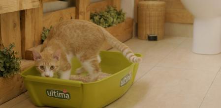 Branded Gatunizar zona eliminación