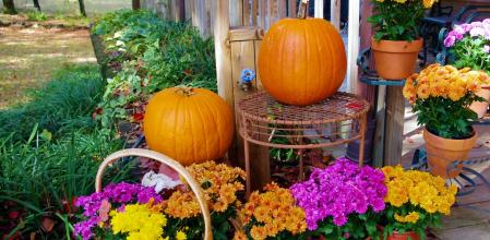 Acompañar las calabazas de un centro o ramo de flores aportará un toque muy singular y elegante.