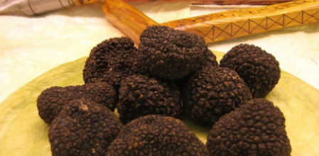 Trufa de la Serranía de Valencia