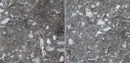 Reto visual: Encuentra las 6 diferencias.