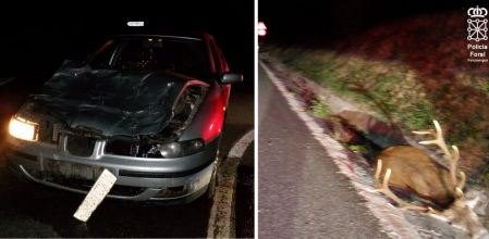 Estado en que quedó un coche tras el atropello de un ciervo&nbsp;