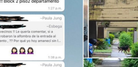 Las pruebas del delito