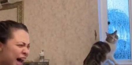 La reacción del gato ha hecho las delicias de los usuarios