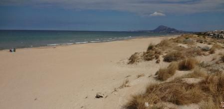Dunas y vegetación en Oliva