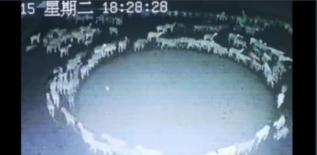 Misterio en Mongolia.