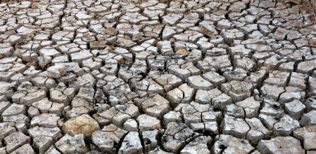 Sequía en Sau.