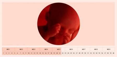 Los ojos del bebé permanecen cerrados incluso cuando está despierto.