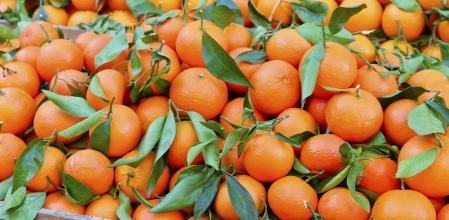 Mandarinas frescas