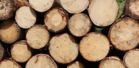 En la decoración existe una tendencia para almacenar leña dentro de casa de forma estética.