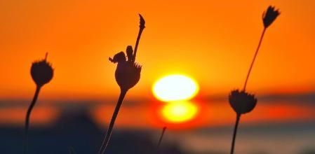 Dos soles al amanecer en la Costa del Sol.