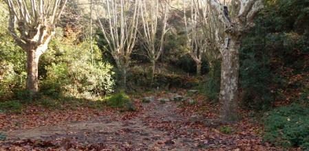 Otoño en la Font del Ca.