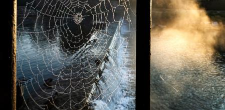 Humo ártico y telaraña en el Llobregat a su paso por Gironella.