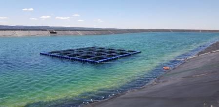 Placa solar flotante en una balsa del canal Segarra Garrigues.