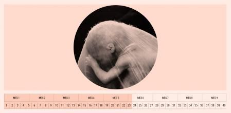 Los movimientos del bebé son cada vez más notables por parte de la madre.