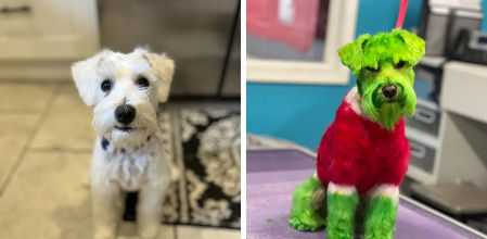 Así ha quedado Rizzo