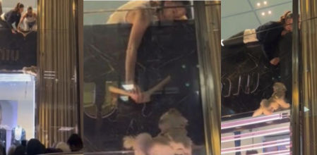 El aparatoso rescate viral de un cachorro atrapado en una tienda de lujo en Londres