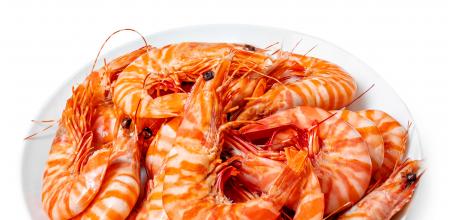 Langostino tigre