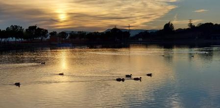 Reflejos al atardecer en el estanque del Parc de l'Agulla.