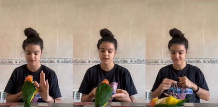 Un loro conquista a millones de personas con sus impresionantes habilidades e inteligencia