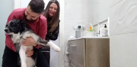 Dos hermanos se encierran con su perro en el baño con la música a tope para que no sufra con los petardos