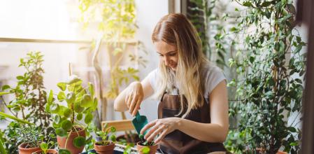 Pretty woman grows tropical plants in her garden. Gardener in working outfit looking after different exotic flower and herb. Close up of woman's hand spraying water on houseplants.
