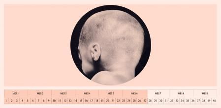 La semana 27 es la última del segundo trimestre de embarazo.