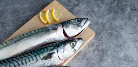 La caballa es rica en omega 3