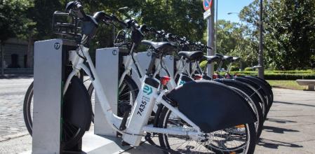 Descripción de la imagen