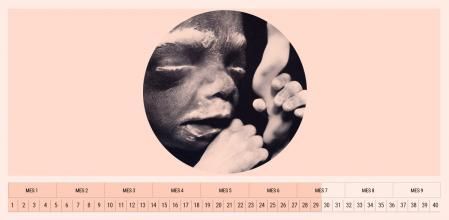 El pequeño percibe estímulos externos del exterior y reconoce la voz de su madre.