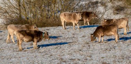 Invierno en Sant Joan de les Abadesses.