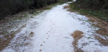 Paisaje nevado en Sant Fost de Campsentelles.