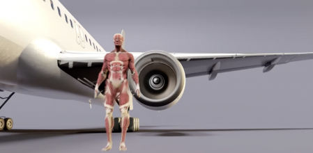 La impactante simulación de qué le ocurriría a un cuerpo humano si cae dentro del motor de un avión