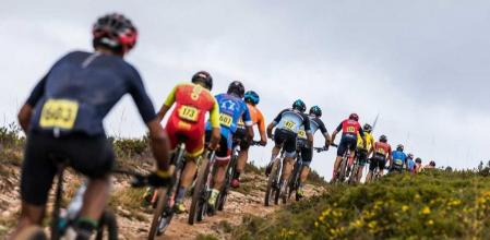 Descripción de la imagen