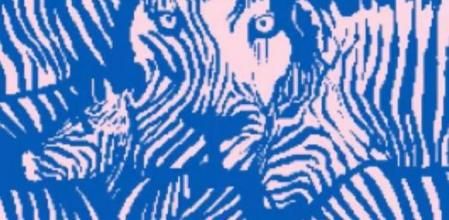 ¿Qué es lo primero que has visto en la imagen? Descubre qué dice de ti la ilusión óptica del momento