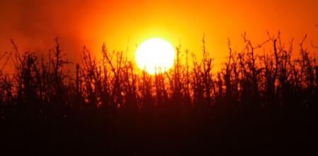 Juego de perspectivas en el Tarròs.