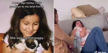 La perrita daba signos de que no podía más