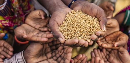 Más de 828 millones de personas pasan hambre