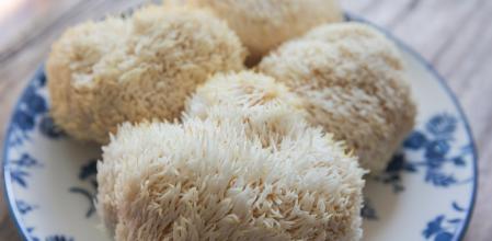 'Hericium erinaceus' o melena de león, un hongo comestible y medicinal