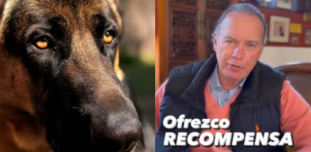 Bertín busca a su perro Thor