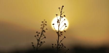 Amanecer calimoso en Mijas.