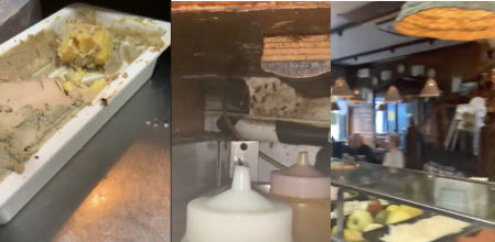 La reacción del dueño del bar que se ha hecho viral por una plaga de insectos: “Los bichitos están más alterados”