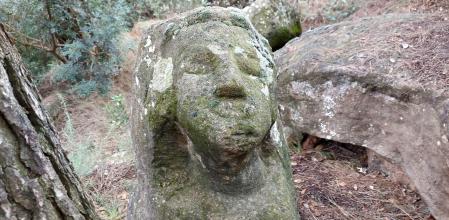 La Dama de Torroella.