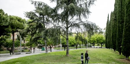 foto XAVIER CERVERA 18/04/2019 Barcelona cerrará un parque por las noches por el incivismo
La Urbana alerta que los jardines de Carles I favorecen la toma de alcohol y drogas y el sexo
(se encuentra a la salida del metro Ciutadella Villa Olimpica, Barcelona)