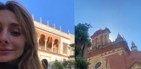 Collage de fotos de la chica en su Twitter