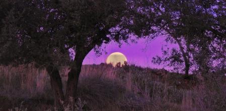 Luna llena en Mijas.