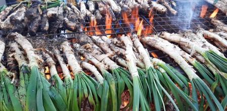 Preparación de los calçots en la calçotada popular de Gavà.