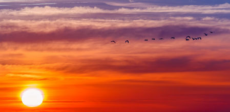 El amanecer de las grullas en Fuengirola.