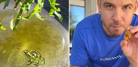 Capturas del vídeo publicado en redes sociales