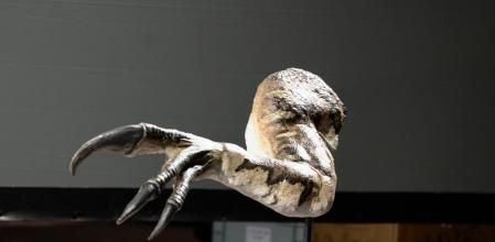 Reconstrucción a partir de los restos hallados en el yacimiento de Igea, en La Rioja