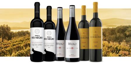 Vinos de Castilla, Toro y Rioja